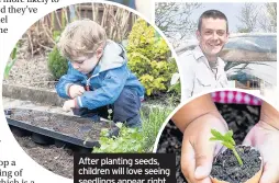  ??  ?? After planting seeds, children will love seeing seedlings appear, right