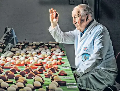  ?? ?? Eggs-tra special Master judge Chris Parker, 75, inspects an egg during the Poultry Club of Great Britain championsh­ip in Telford, Shropshire. The annual event has gone ahead without any birds this year because of the avian flu outbreak.