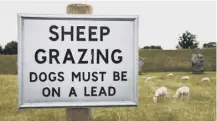  ??  ?? 0 Harsher penalties for sheep- worrying may be coming