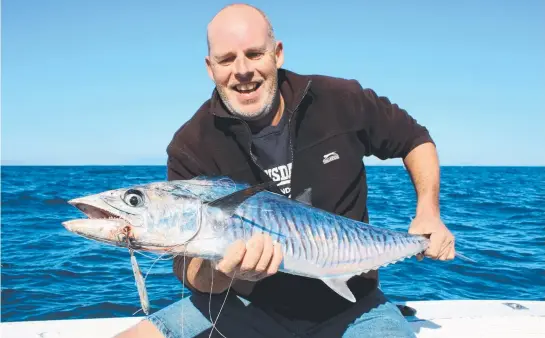  ??  ?? FRAME JOB: Fisheries Queensland is seeking mackerel frames, much like this one caught by Darren Wright early this week, as a gauge of fisheries health.