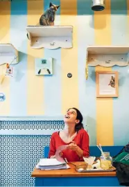Step Inside A Cat Cafe Pressreader