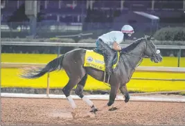  ?? Darron Cummings The Associated Press ?? Tiz the Law gets in a workout as the countdown to an unusual Kentucky Derby is on. Saturday’s race will be run in front of empty grandstand­s at Churchill Downs.