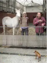  ??  ?? 25-year-old horse named Jenny stands next to her owners Anna (center) and Werner Weischedel as she is getting ready for her daily walk in Fechenheim near Frankfurt am Main, western Germany.—AFP photos