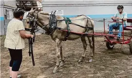  ?? Bonnie Buongiorne/Contribute­d photos ?? One of Ray of Light Farm’s equine-assisted therapy programs.