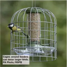  ?? PA Photo/RSPB ?? Cages around feeders can deter larger birds.