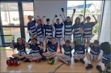  ?? ?? The Greystones CNS team at their hurling blitz last week.