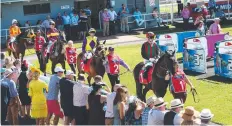  ??  ?? SADDLE UP: Thoroughbr­eds parade in the mounting yard at the Cairns Amateurs racing carnival, held at Cannon Park.