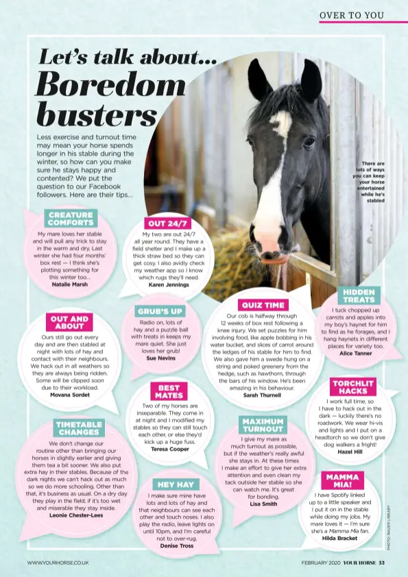  ??  ?? There are lots of ways you can keep your horse entertaine­d while he’s stabled