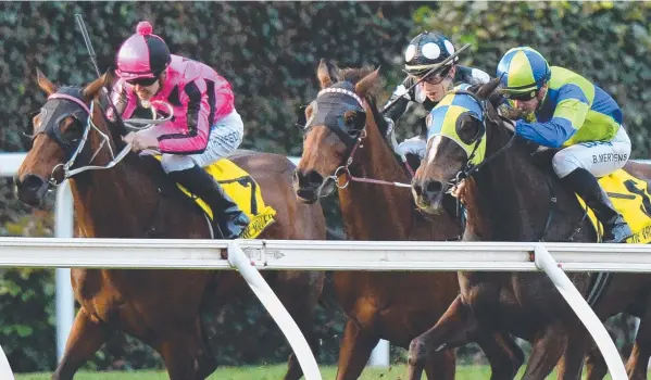  ?? Picture: MAL FAIRCLOUGH/AAP ?? TOUGH TASK: Ben Thompson pilots Kawabata to victory at Moonee Valley on October 6. The locally trained horse is a $41 chance in today’s cup.