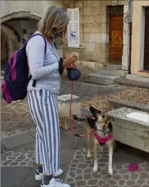  ?? (Photo L. N.) ?? L’une des participan­tes récompense son chien après qu’il a trouvé un indice (le tissu rose).