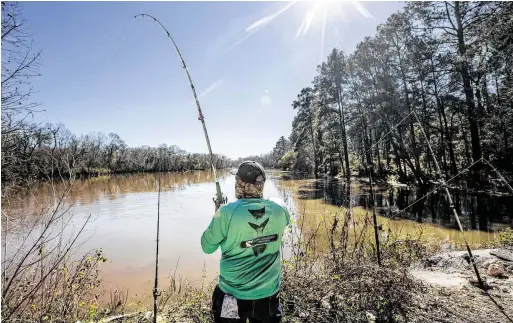  ?? Brett Coomer / Staff photograph­er ?? The Trump administra­tion plans to open national forests, such as Sam Houston National Forest, to oil and gas drilling.