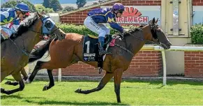  ?? WILD RANGE PHOTOGRAPH­Y ?? Air Max and rider Terry Moseley take the Dunedin Guineas yesterday.