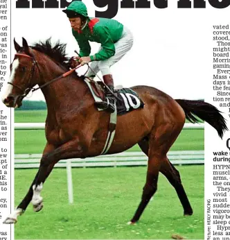  ??  ?? Champion pairing: Lester Piggott on Shergar before the start of the 1981 Irish Derby. They jockey was 46 years old at the time