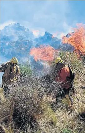  ?? (BOMBEROS DE CÓRDOBA) ?? Complicado. Los focos de incendios son de difícil acceso por el monte tupido en una zona con muchas quebradas.