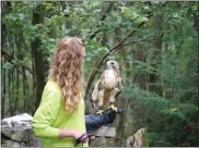  ?? FILE PHOTO - LISA MITCHELL, MEDIANEWS GROUP ?? Hawk Mountain’s signature live raptor program Raptors Up Close! will be held every Saturday and Sunday.