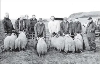 ?? 01_B05twe04 ?? Kildonan and District Sheepdog Associatio­n held its first show of Blackface tup hogs at Drumadoon Farm. The top Blackface tup hogs in descending order from the right were: George Tod, Hugh Stewart, Wullie Stevenson, Tony Brookes, Willie McConnell and Neil McEachern.