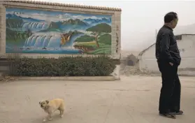  ?? Alexander F. Yuan / Associated Press ?? A gatekeeper of a demolished cement plant and his dog stand near the plant’s gate on a severely polluted day in Shijiazhua­ng, in northern Hebei province.