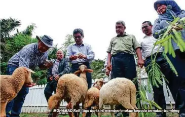  ??  ?? MOHAMAD Roff (tiga dari kiri) memberi makan kepada ternakan kambing