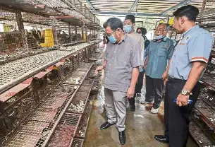 Quail egg farmer rises above loss - turns meat to floss - PressReader