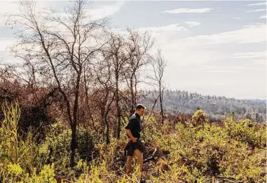  ?? Photos by Stephen Lam/The Chronicle ?? Sam Hodder, CEO of Save the Redwoods League, traverses a 38-mile trail system in San Vicente Redwoods.