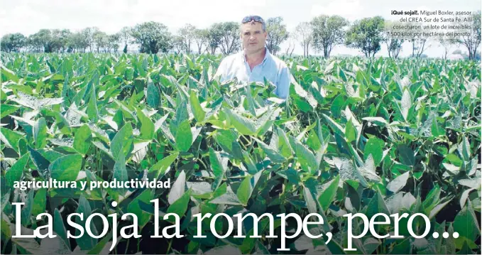  ??  ?? ¡Qué sojal!. Miguel Boxler, asesor
del CREA Sur de Santa Fe. Allí cosecharon un lote de increíbles 7.500 kilos por hectárea del poroto.