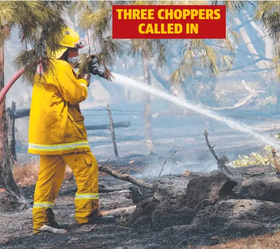  ?? Picture: MARK WILSON ?? QUICK ACTION: CFA and Department of Water, Environmen­t, Land and Planning crews battle the fire at Shelford yesterday.