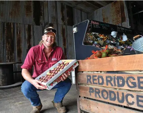  ??  ?? DIRECT FROM THE FARMER: Fig grower Ash Emerick welcomes tourists onto his farm at Alloway.