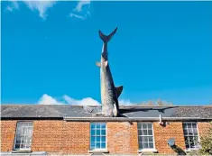  ??  ?? The Headington Shark installati­on stands out against the crisp, blue Oxfordshir­e sky