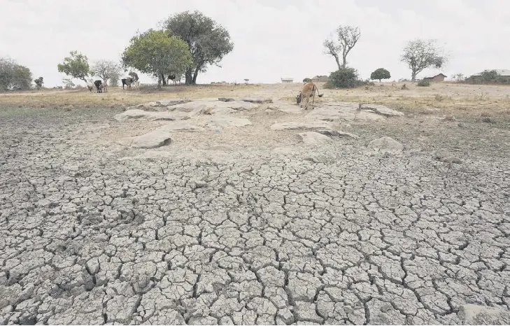  ?? ?? Vertrockne­tes Feld in Somalia: Folge der dritten schweren Dürre innerhalb eines Jahrzehnts