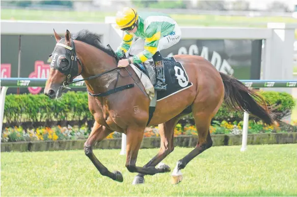  ?? Picture: TRACKSIDE PHOTOGRAPH­Y ?? Stradbroke Handicap contender The Virginian wins the Chief De Beers Quality at Doomben at his first start from a spell.