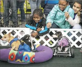  ?? Alexandra Wimley/Post-Gazette ?? Children play with disabled dogs during the Pittsburgh Pet Expo on Nov. 3 at the David L. Lawrence Convention Center in Downtown.