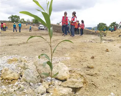  ?? SUNSTAR FOTO / ARNI ACLAO ?? PLANTED.
Carmen Copper Corp. employees, together with Department of Environmen­t and Natural Resources, other government agencies and members of the media, plant trees at the mining site.