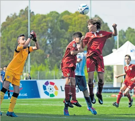  ??  ?? VIGENTE CAMPEÓN. El Sevilla ha demostrado ser un equipo muy competitiv­o en la Danone. El año pasado fue el campeón.