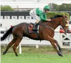  ?? TRISH DUNELL ?? Southern Icon ran his rivals ragged in the open sprint at Te Rapa.