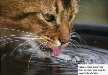  ??  ?? Cats are more discerning than Science Focus experts, says Emily Johnston