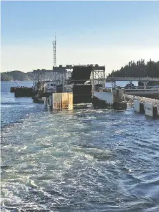  ?? POSTMEDIA ?? A driver has been banned from ferry travel for at least a day after nearly hitting a B.C. Ferries worker at the Langdale terminal Tuesday.