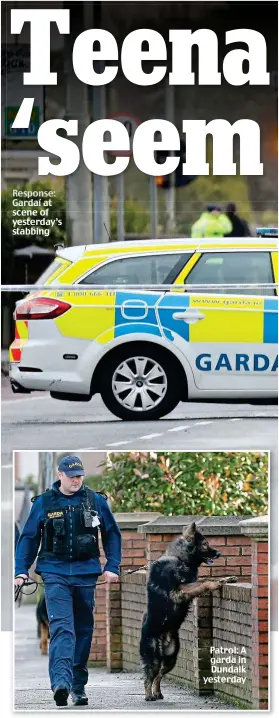  ??  ?? Response: Gardaí at scene of yesterday’s stabbing Patrol: A garda in Dundalk yesterday