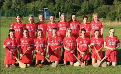  ??  ?? The Glenealy Senior camogie team who defeated Ballinacor in their championsh­ip opener last week in Glenmalure.