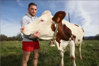  ?? (Photos Luc Boutria) ?? À 24 ans, Adrien Blua considère ses vaches laitières comme ses filles.