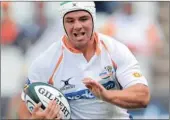  ?? Gallo Images ?? DYNAMITE: Heinrich Brüssow could line-up in a Super Rugby play-off game if the Cheetahs win today.