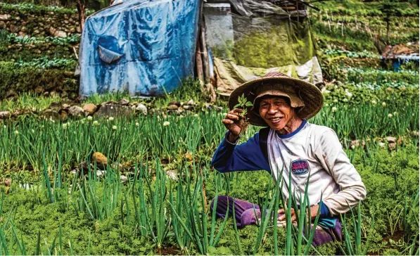  ?? Fotos: Stefan Foag ?? Ein indonesisc­her Bauer, der an seinem Feld an einem Vulkan arbeitet, grüßt in die Kamera unseres K!ar.Texters. Er verbringt drei Monate in Jakarta, wo er ein Praktikum bei drei Fotografen absolviert und versucht, das Land und die Leute kennenzule­rnen...