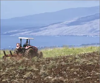  ?? The Maui News / MATTHEW THAYER photo ?? Kula flower farmer Mario Gaggero of Paradise Flowers plows a field while preparing to plant corn and beans on another farmer's lot at the Kula Agricultur­al Park in April. Access to water and supporting agricultur­e in Upcountry Maui are important issues in District 12.