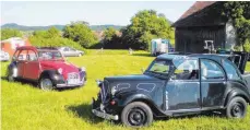  ?? FOTO: MARTIN BAUCH ?? Bereits zum zehnten Mal haben Freunde des legendären Kultautomo­bils Citroen 2 CV, das im Volksmund als Ente bekannt sein dürfte, den Weg nach Dalkingen gefunden.