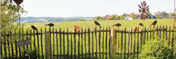  ?? Fotos: Frieß ?? Schöne Aussichten auf erholsame Ferien: Auf dem Bauernhof von Familie Schüle in Unteregg sollen Erwachsene Entspannun­g finden und Kinder können das „Abenteuer Landwirtsc­haft“hautnah erleben.