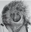  ?? National Geographic ?? Alex Javor struggles to keep from getting hypothermi­a on “Life Below Zero: Next Generation.”