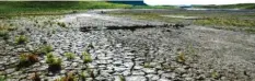  ??  ?? Dürre trocknet die Böden aus. Das kann eine Folge des Klimawande­ls sein. Hier siehst du den Grund eines Wasserspei­chers in Kalifornie­n.