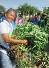  ??  ?? Woman participan­t shows her harvest of kangkong.