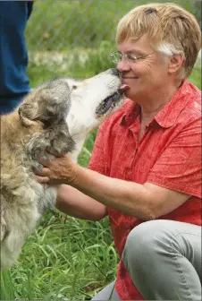  ?? SUBMITTED ?? Alex Keir had the opportunit­y to work with wolves during training in Indiana’s Wolf Park.