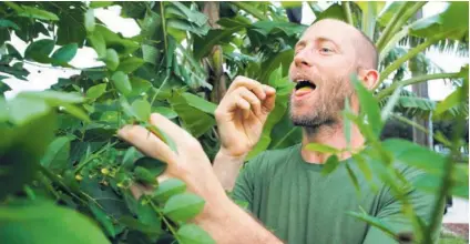  ?? AFP ?? En el jardín donde habita este estadounid­ense crecen papayas, tubérculos y bananos, entre otros.