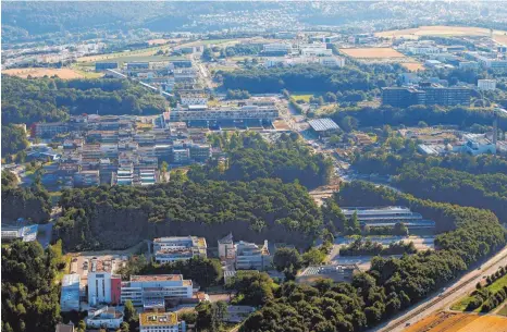  ?? FOTO: KAYA ?? Ein alter Wald soll oberhalb des Botanische­n Gartens für Neubauten der Universitä­t geopfert werden. Der BUND kritisiert diese Pläne.